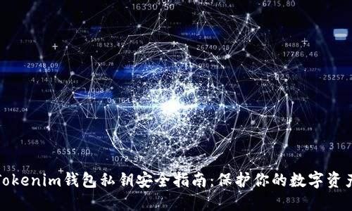 Tokenim钱包私钥安全指南：保护你的数字资产